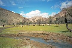 29 Beautiful Lunch Spot On Way to Kharta Tibet.jpg